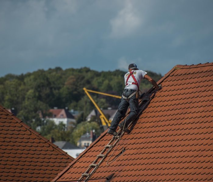 roofers, roof, roofing, craft, housetop, repair, gable, roof tiles, roofers, roof, roof, roof, roofing, roofing, roofing, roofing, roofing