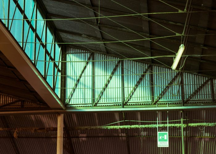 View of an industrial warehouse ceiling with metal beams and skylights.