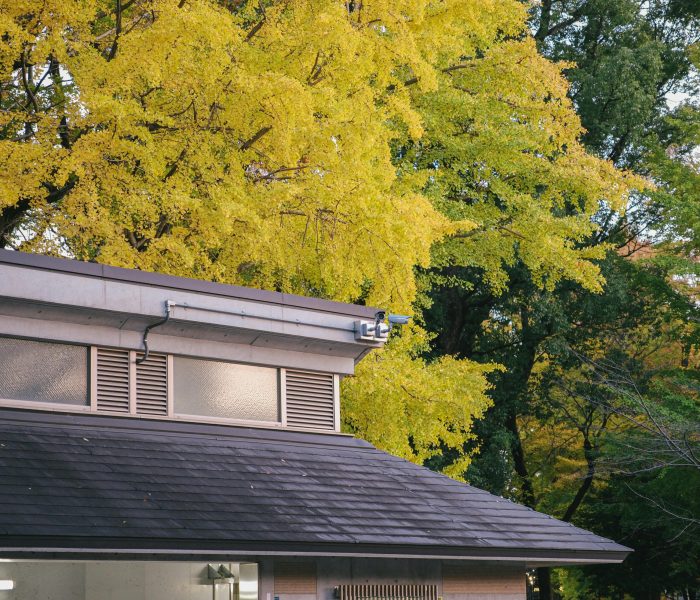 Modern building roof with vibrant autumn foliage, showcasing beautiful seasonal colors.